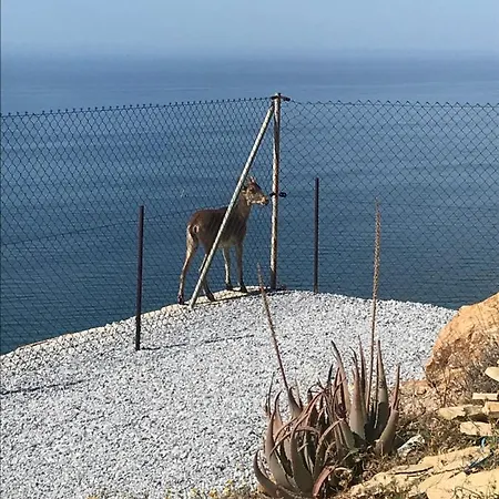וילה La Marina *
